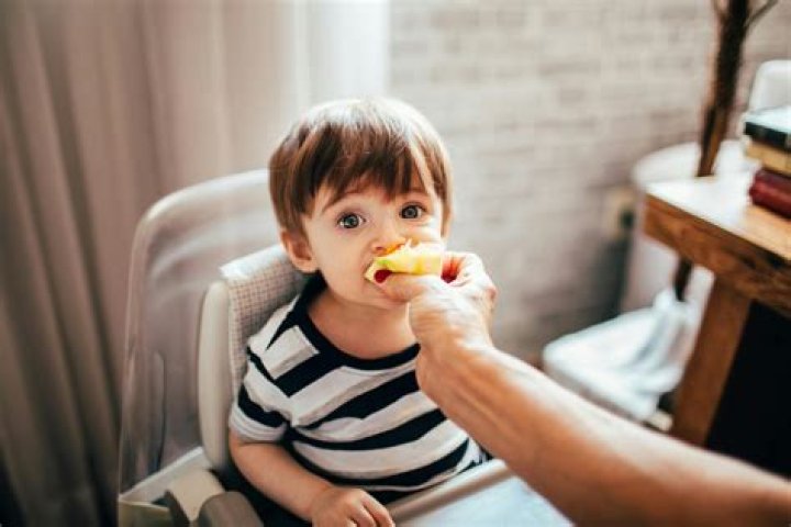 Can toddlers eat too much fruit?