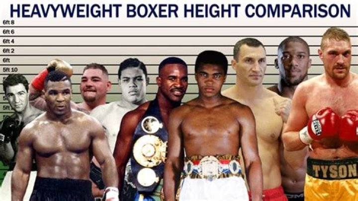 Is boxer or wrestler stronger?